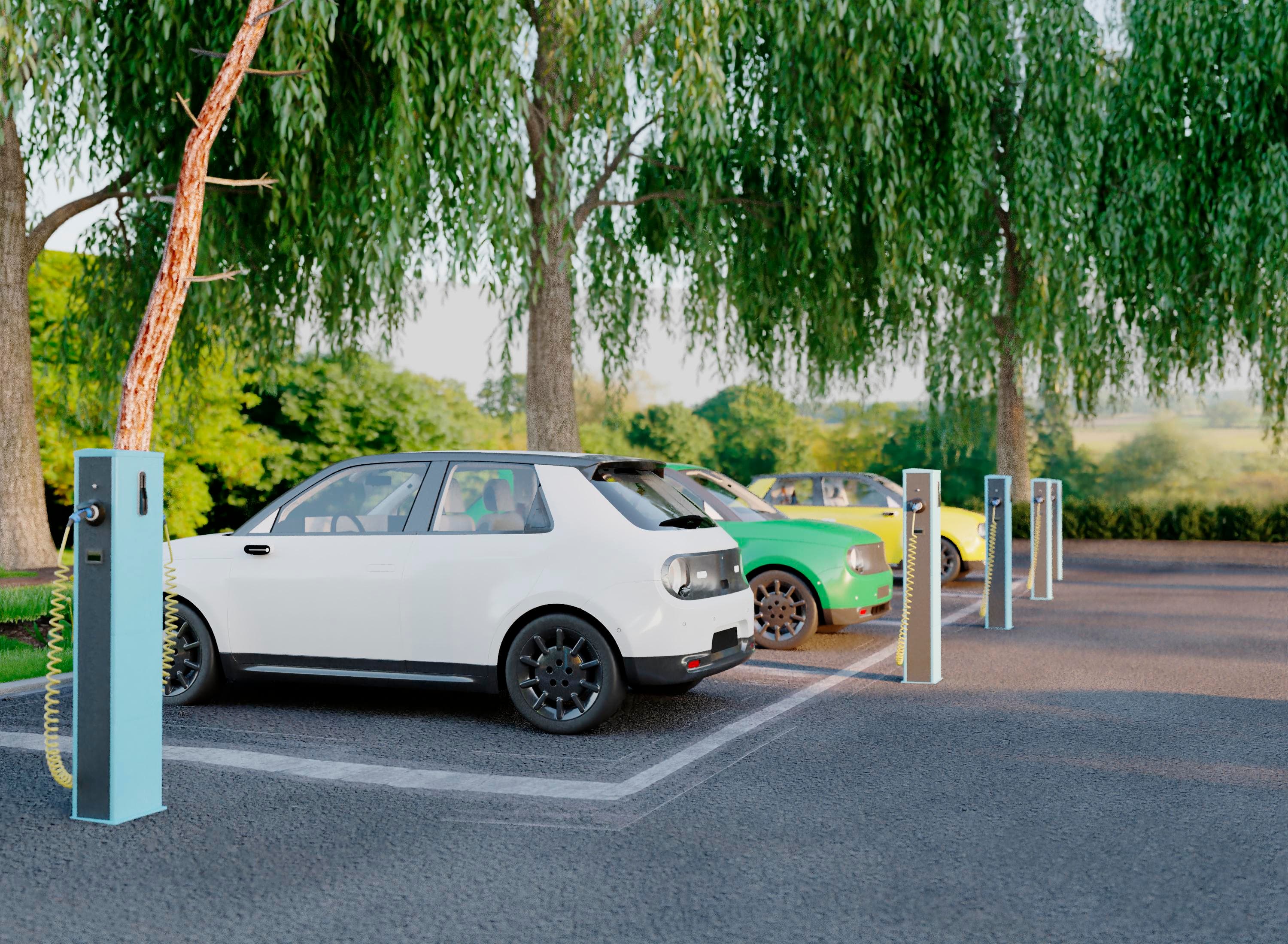 electric vehicle sector