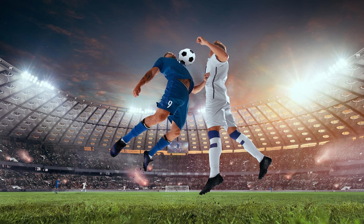 sports sector